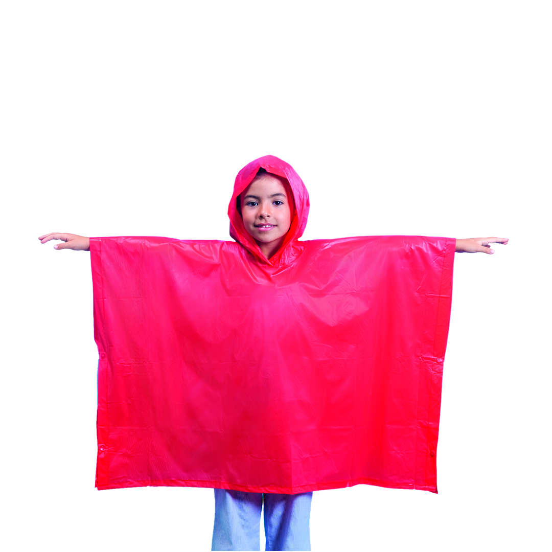 Poncho Lincoln - Imagen 2