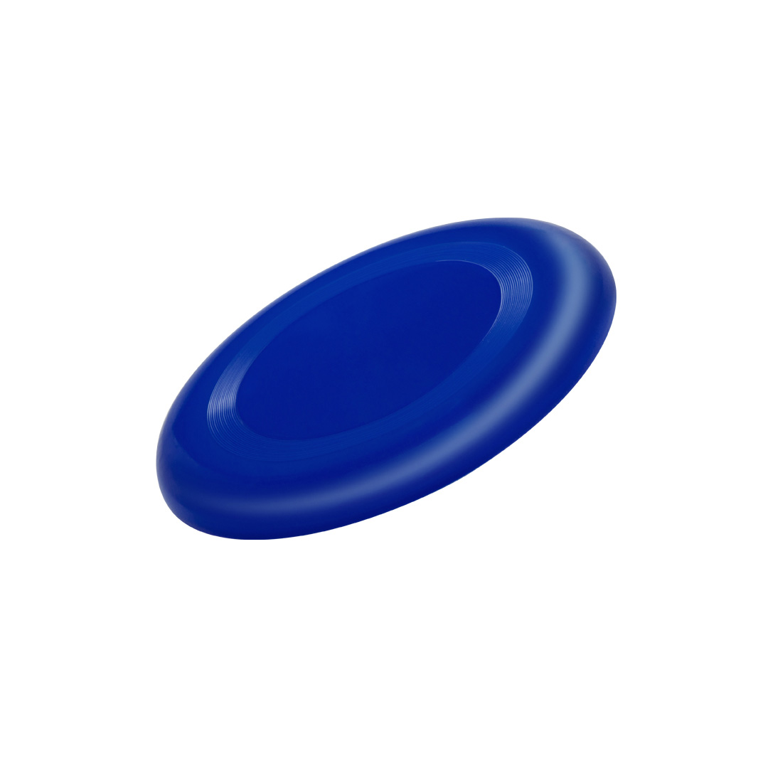 Frisbee Tampa - Imagen 3