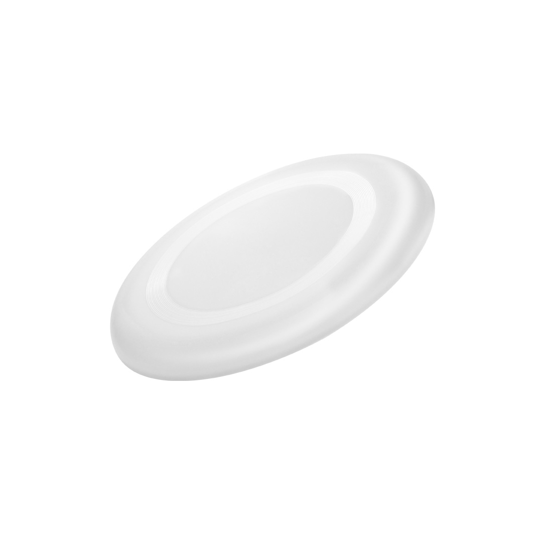 Frisbee Tampa - Imagen 4