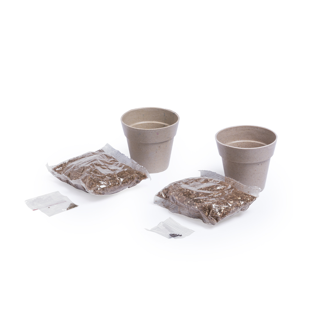 Set Macetas Reno