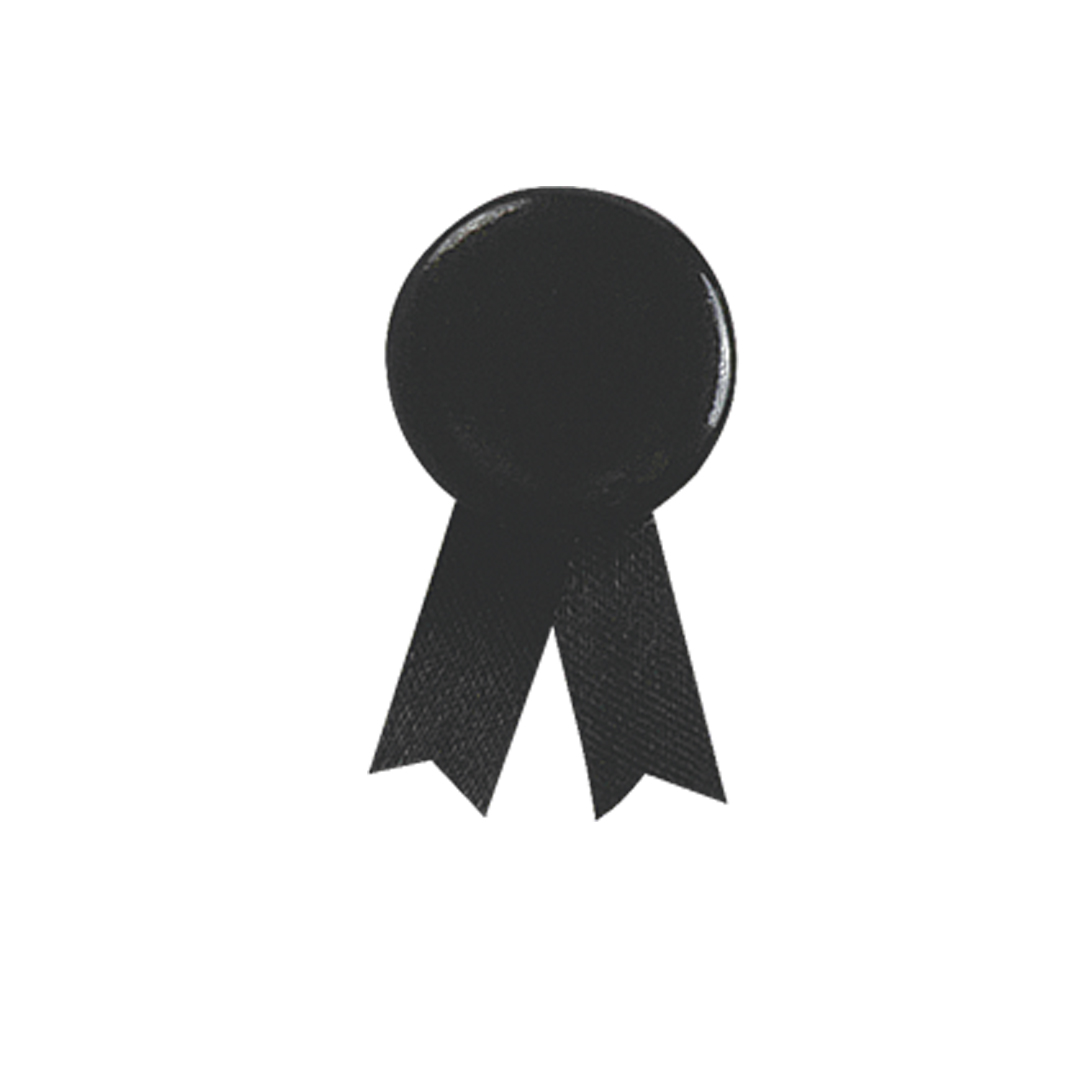 Pin Lazo San Ramon - Imagen 2