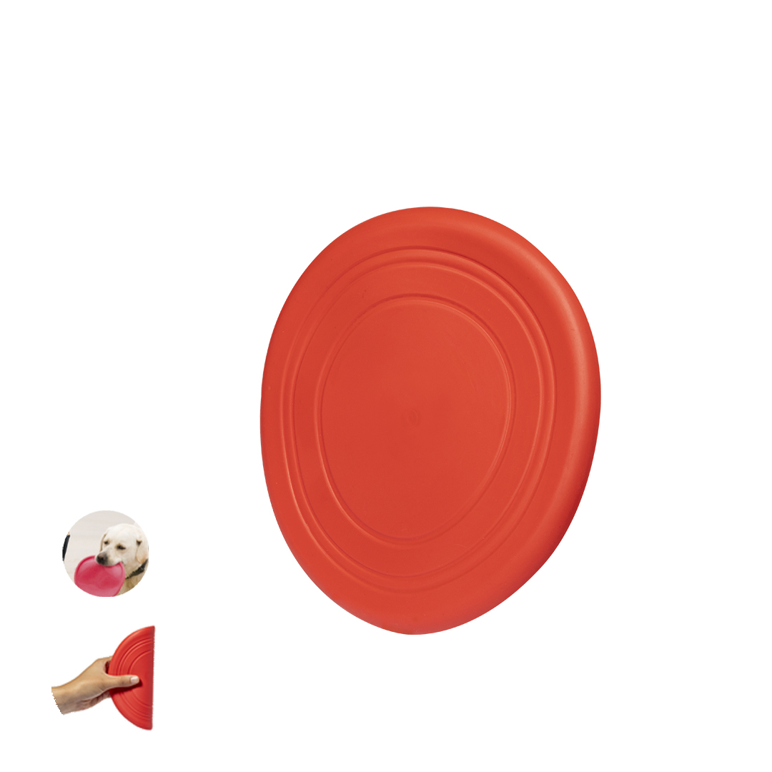 Frisbee Austin