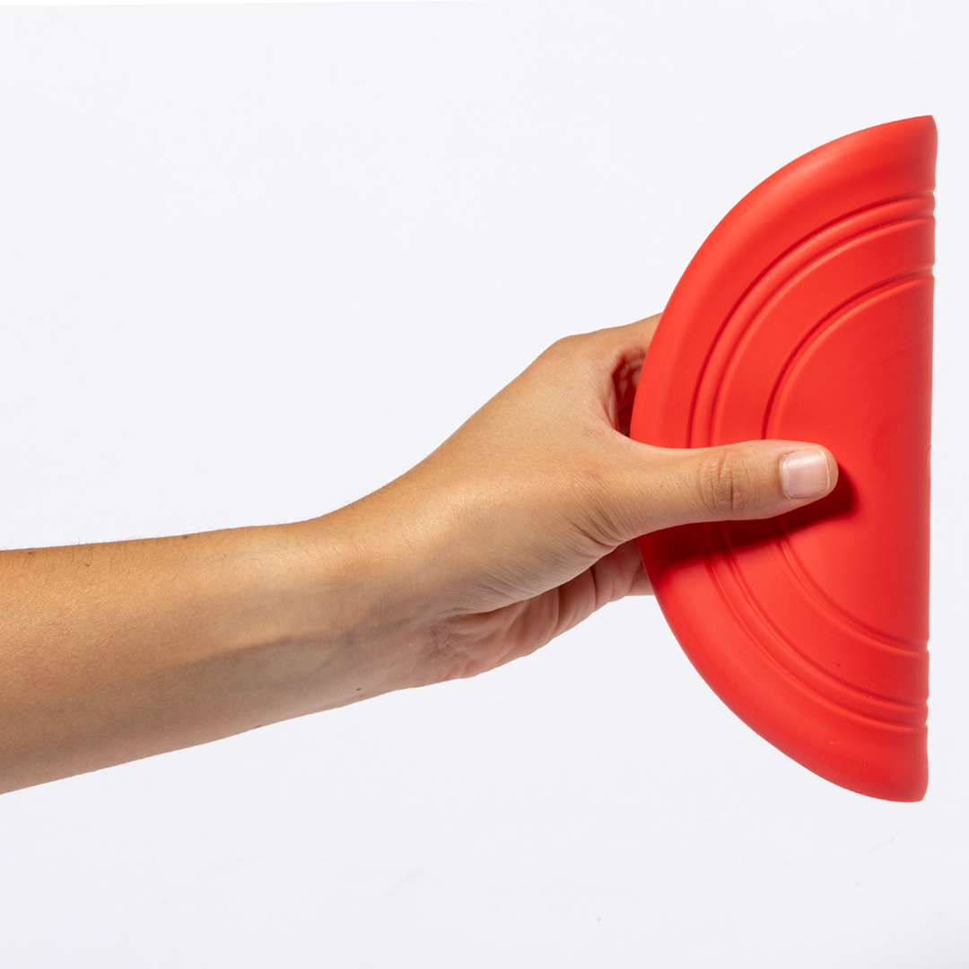 Frisbee Austin - Imagen 3
