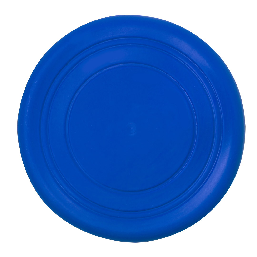 Frisbee Austin - Imagen 4