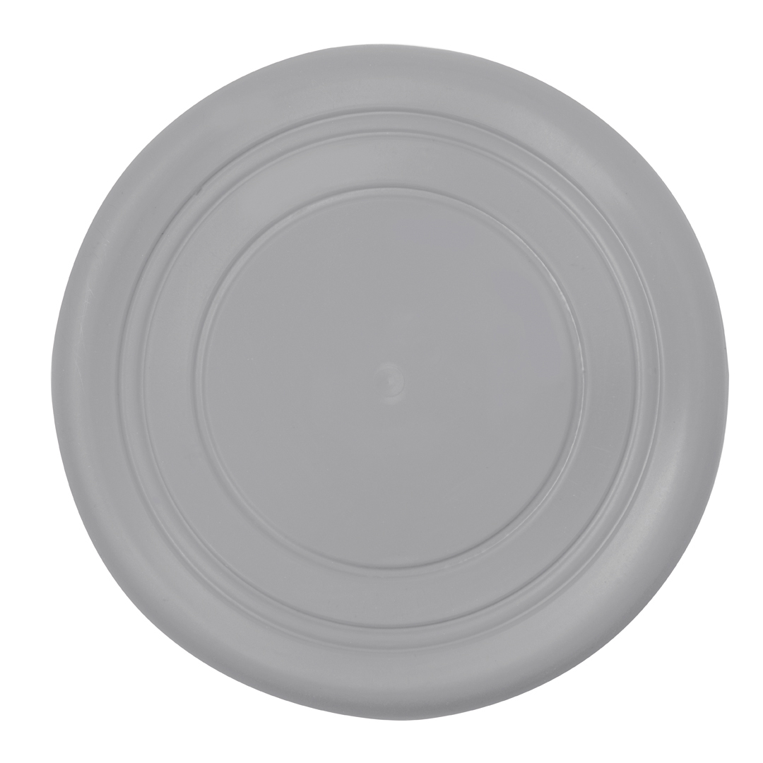 Frisbee Austin - Imagen 5