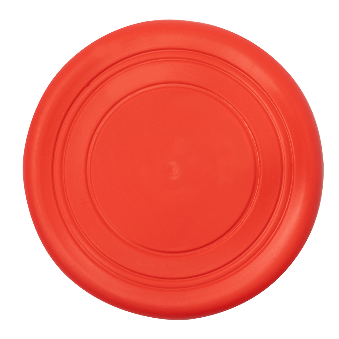Frisbee Austin - Imagen 6