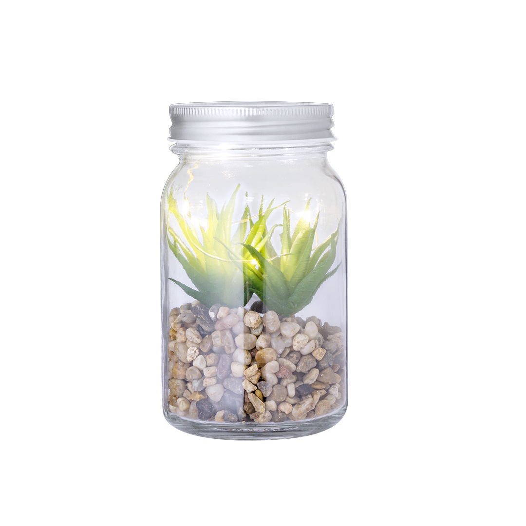 Planta Decorativa Cleveland