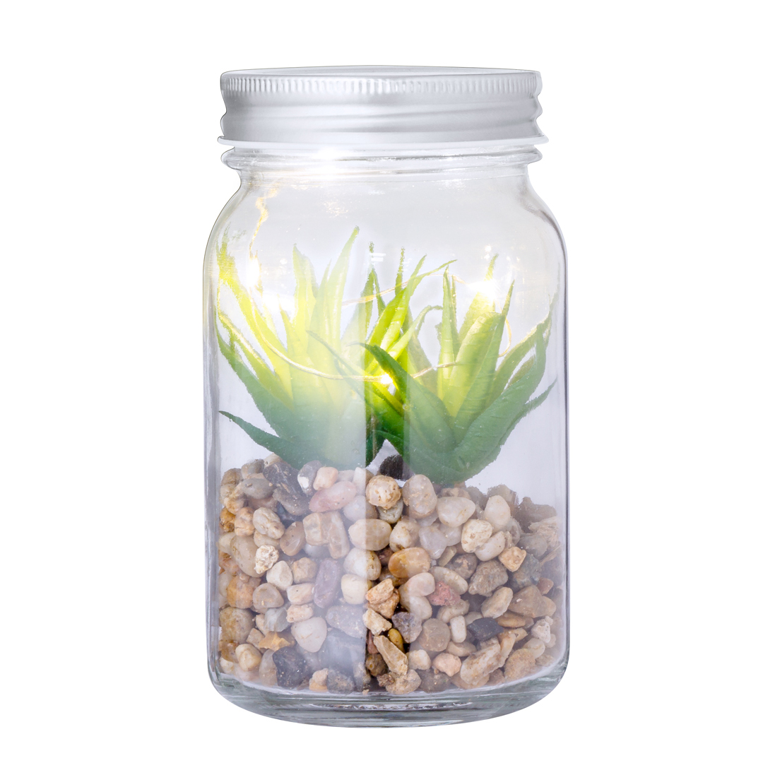 Planta Decorativa Cleveland - Imagen 2