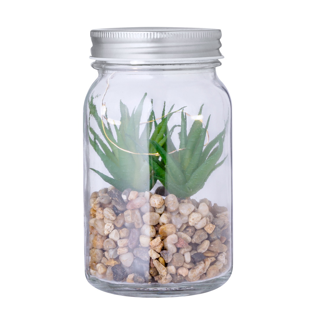 Planta Decorativa Cleveland - Imagen 5