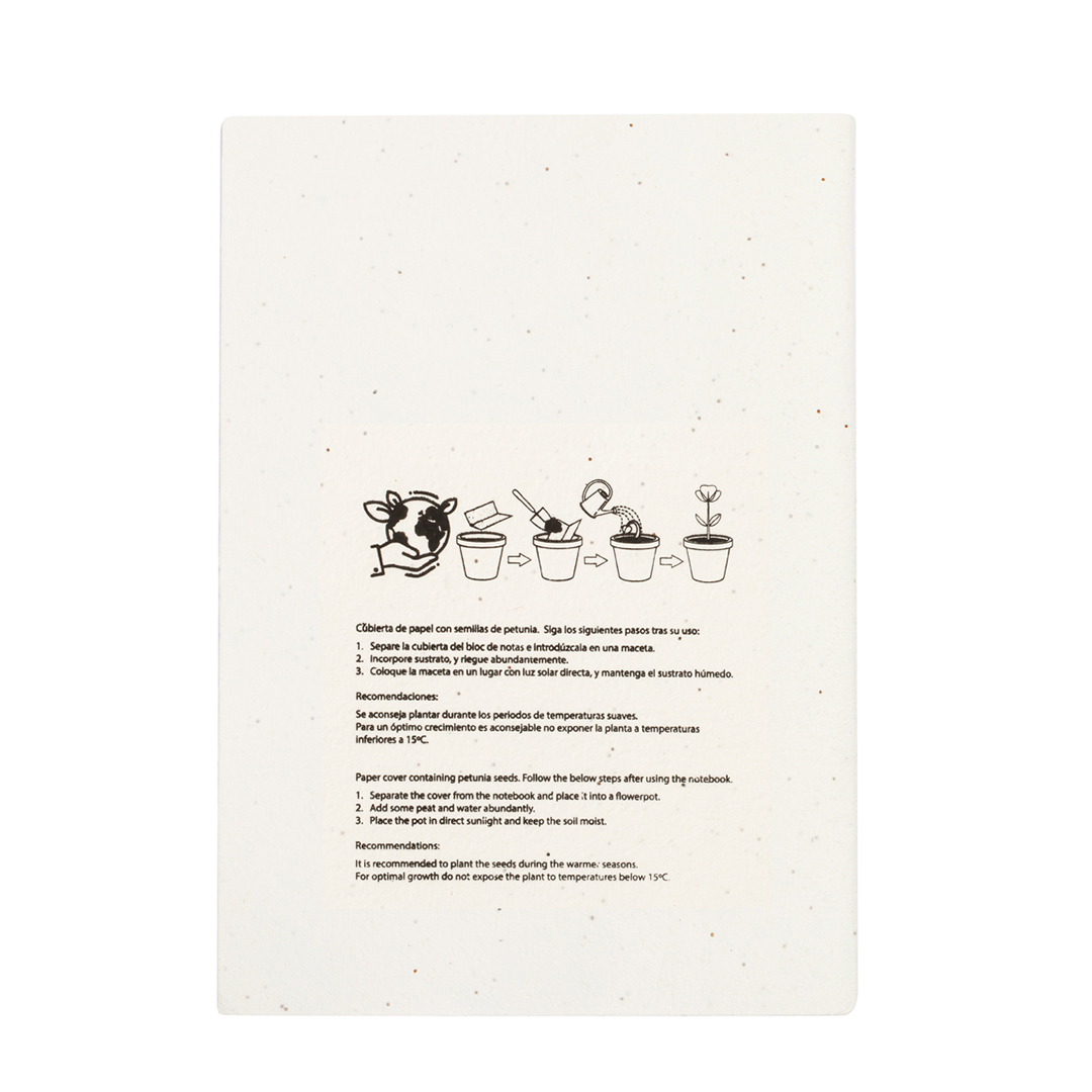Libreta Semillas St. Louis - Imagen 3