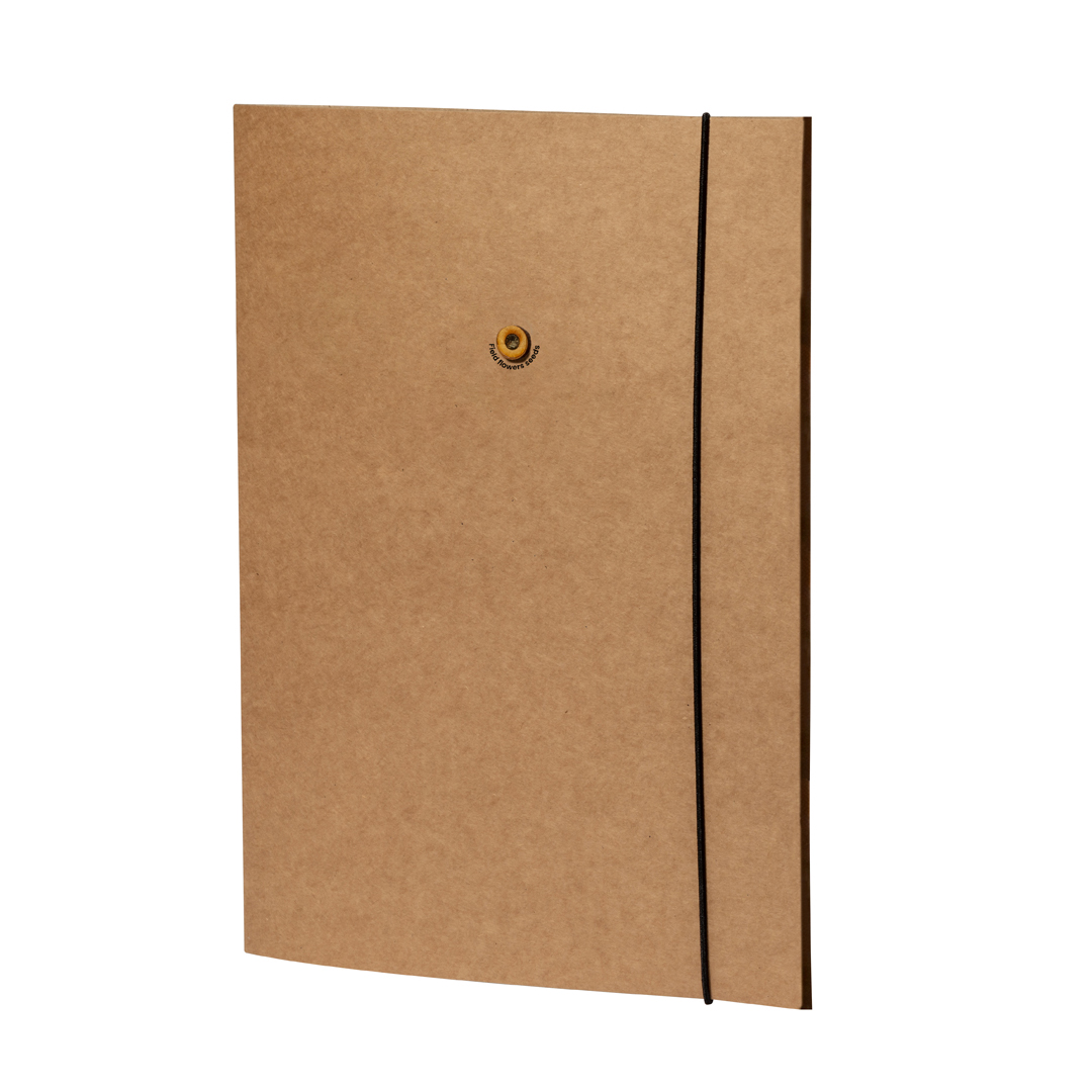Carpeta Semillas San Diego - Imagen 2