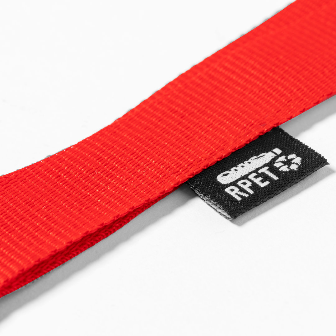 Lanyard Chicago - Imagen 2