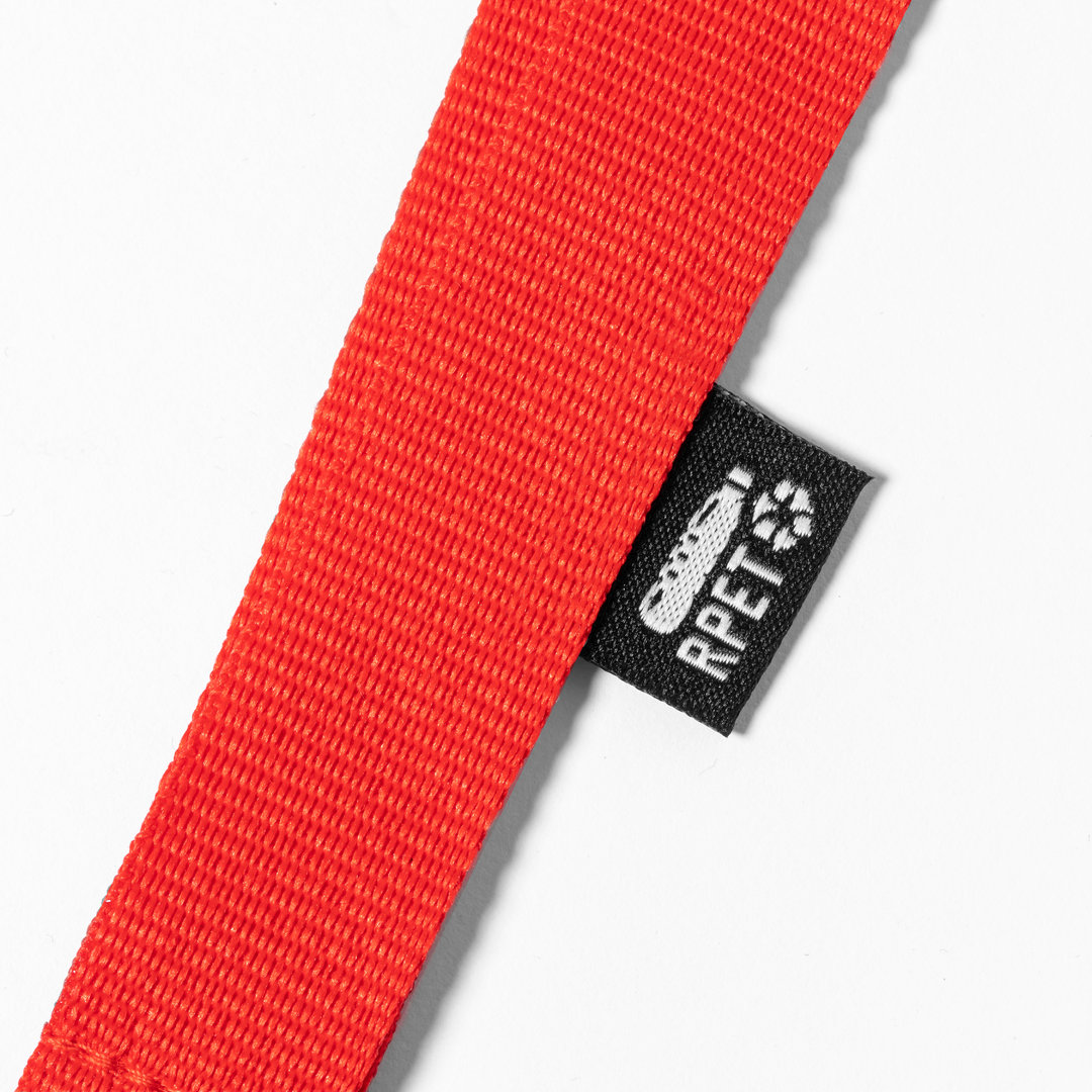 Lanyard Chicago - Imagen 6