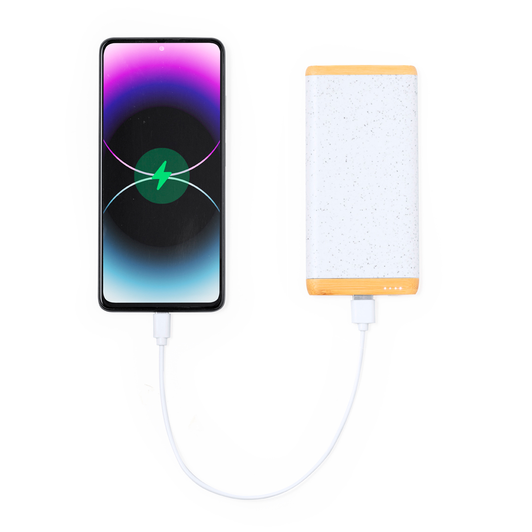 Power Bank Nashville - Imagen 3